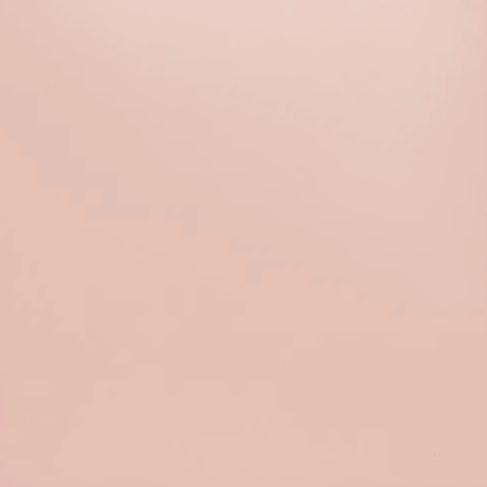 STAUD | Shirley Leather Bag - Blush
