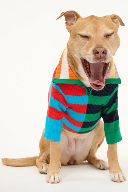 STAUD | Pet Hampton Sweater - Cabana Stripe Multi