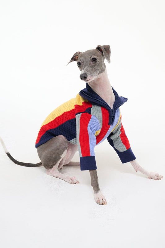 STAUD | Pet Hampton Sweater Market Stripe