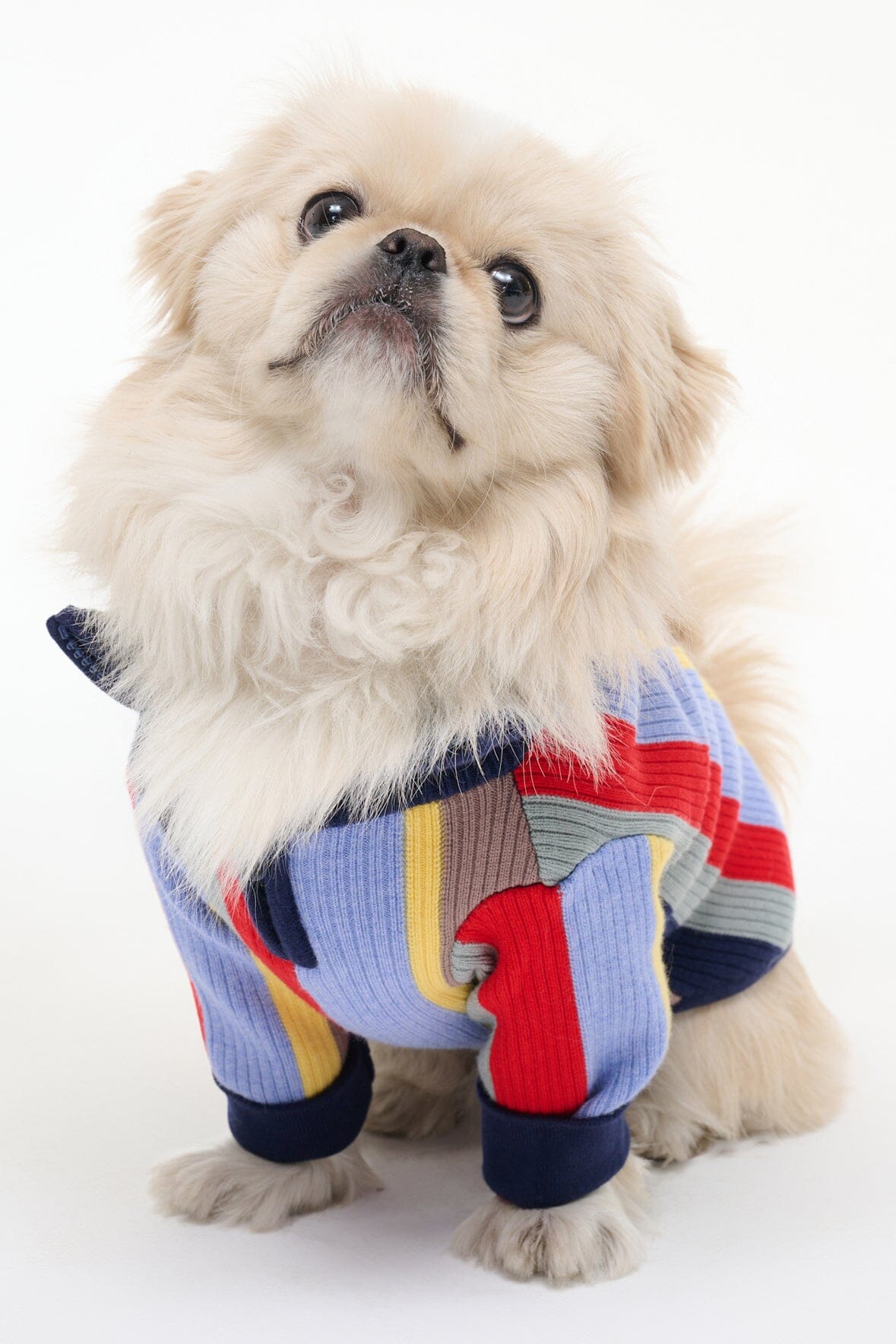 STAUD | Pet Hampton Sweater Market Stripe