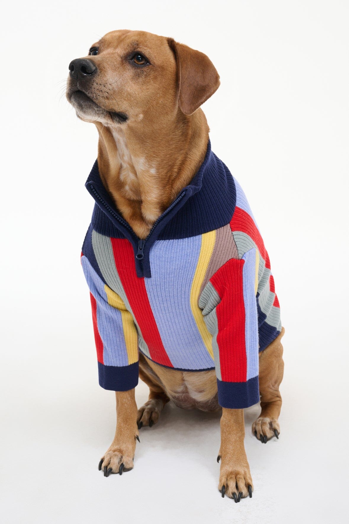 STAUD | Pet Hampton Sweater Market Stripe