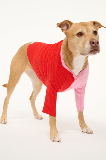 STAUD | Pet Shoko Sweater - Poppy Rosebud