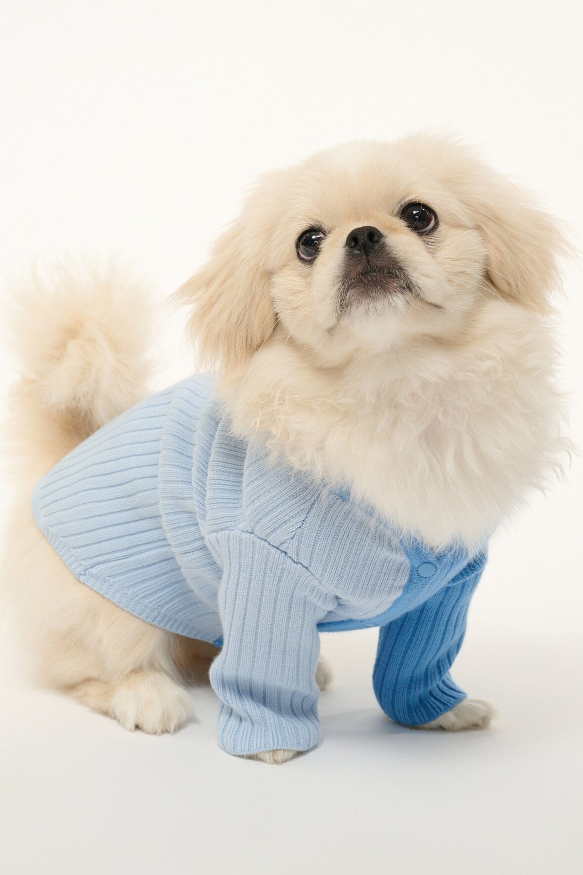 STAUD | Pet Shoko Sweater - Periwinkle Multi