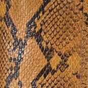 STAUD | Western Wally Boot Snake